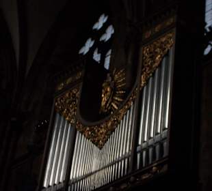 Orgel