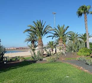 View from the grass to the beach