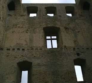 Hoher Schwarm von innen