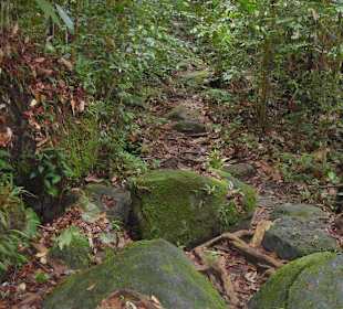 Über Stock und Stein