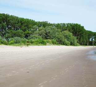 Eindrücke vom Strand der Insel Krautsand