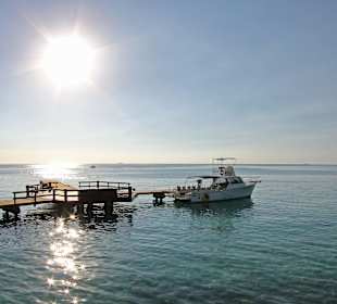 Caribbean Sea Sports