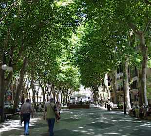 Dieser Platz "Passeig de Born" ist leicht zu finden