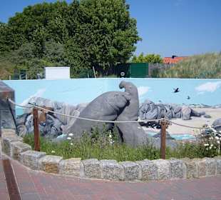 In der Seehundaufzuchtsstation!