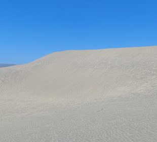 Dünen von Maspalomas