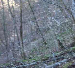 Wandertour Eppenzill