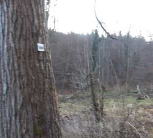 Schönbuch Schaichtal