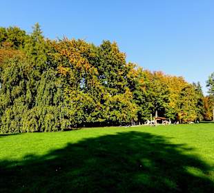 Die Schillerwiese in Herbststimmung 