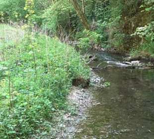 Premiumwanderweg Hochgehschätzt