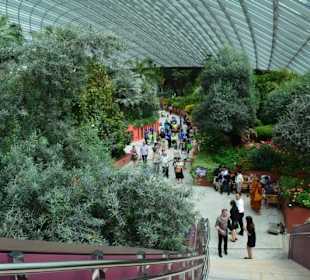 Gardens by the Bay