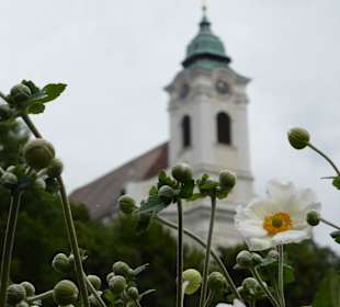 Ausflugsziel: Wallfahrtskirche Maria Langegg