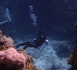 Tauchen Marsa Alam