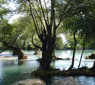 Am Wasserfall