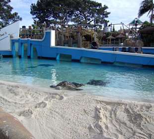Sea World