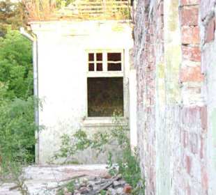 Zakład dla Nerwowo i Psychicznie Chorych Żydów Zofiówka