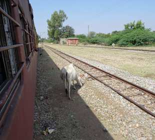 Läßt sich nicht aus der Ruhe bringen
