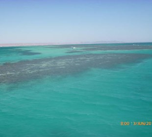 Wunderschönes Riff im Roten Meer