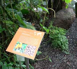 Tropicarium