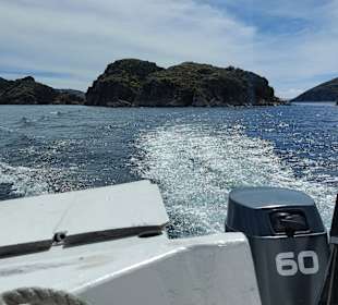 Der Weg ist das Ziel