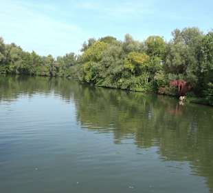Wanderung zur Burgruine Liebenau