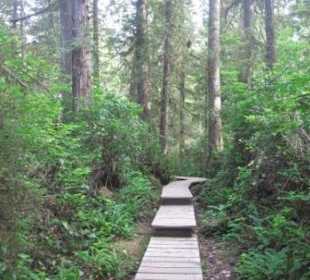 Auf dem Schooner Trail