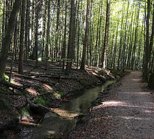 Wandern Lam