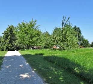 Spaziergang durch den Kurpark von Bernau