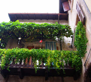 Balkone mit viel Grün