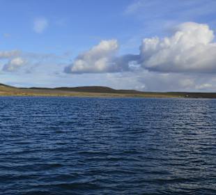 Park Narodowy Isla Magdalena
