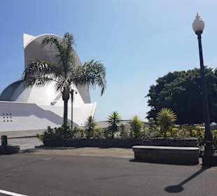 Stadtrundfahrt Santa Cruz