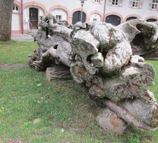 Lichtentaler Allee, Kloster Lichtental