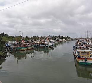 Hafen Negombo