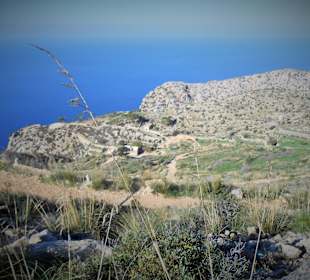 Blick auf die Westküste