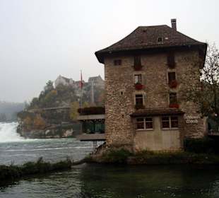 Schloss Wörth and the Rhine Falls