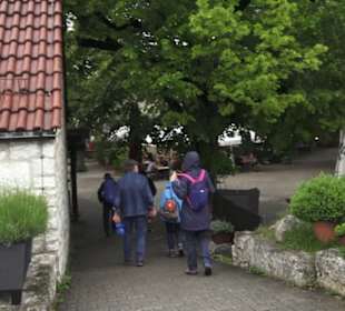 Burgruine Hohenneuffen