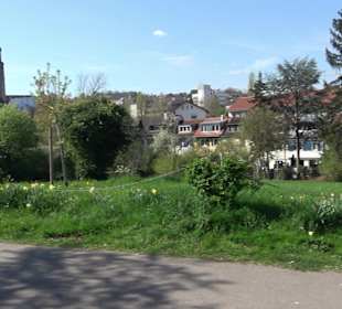 Parkanlage Villa Berg