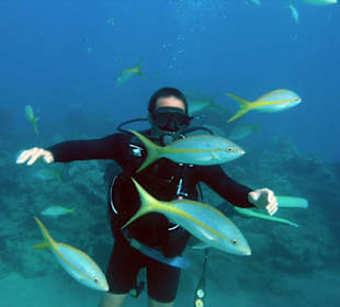 Tauchen am Riff