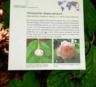 Botanischer Garten der Universität Tübingen