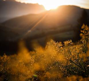 Wandern Itter-Wörgl
