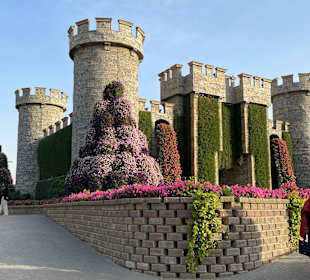 Dubai Miracle Garden