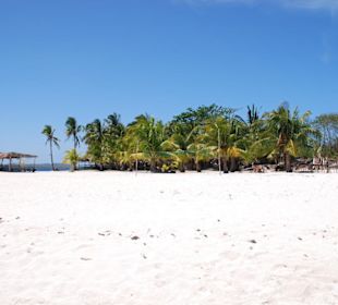 Paradise Island