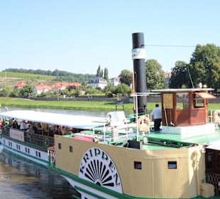 Schaufelraddampfer Krippen