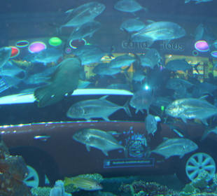 Aquarium
