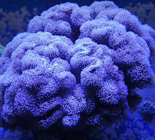 Impressionen aus dem Aquazoo Löbbecke Museum