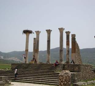 Volubilis