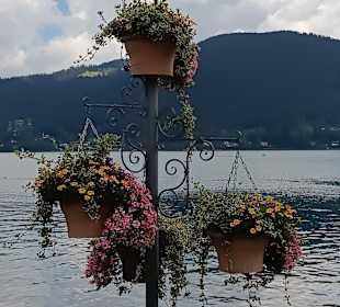 Tegernsee