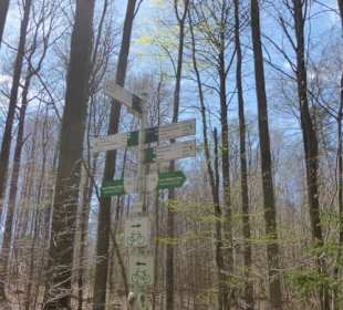 Wanderung Handthal → Ebrach → Handthal