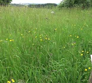 Wassertretanlage Frutenhof