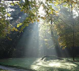 Herbstspaziergang durch den Schlosspark Lütetsburg