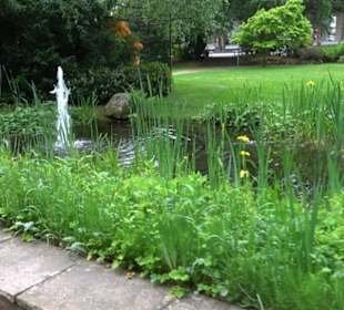 Kurpark Freudenstadt